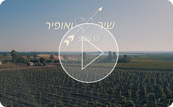 רפי ג'ירו